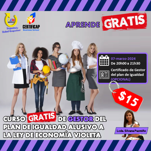 CURSO DE GESTOR DEL PLAN DE IGUALDAD (Ley de Economía Violeta)