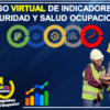 Curso de Indicadores de Seguridad y Salud Ocupacional