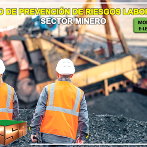 Norma ISO 45001:2018 Sistema de Gestión de Seguridad y Salud Ocupacional